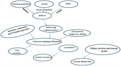 Potential of macronutrients and probiotics to boost immunity in patients with SARS-COV-2: a narrative review